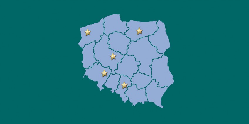 Niepokonane w 2016 roku