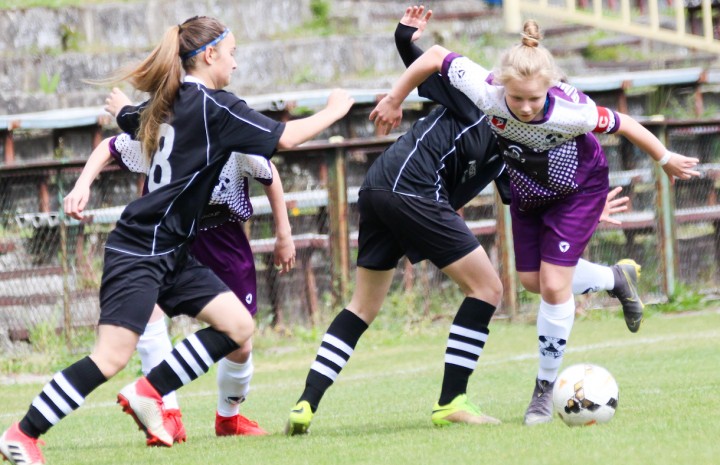 Stilon zwycięski (foto)