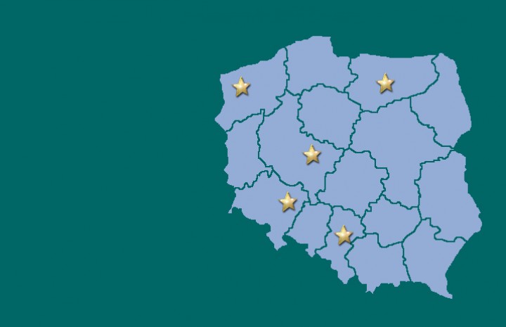 Niepokonane w 2016 roku