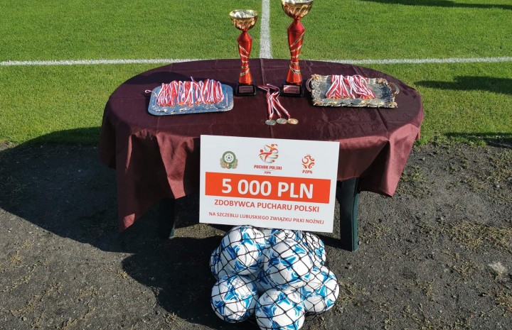 Wojewódzcy triumfatorzy PP