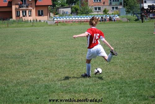 Wroblowianka Podgorze