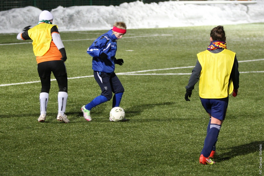 Tucholanka - Sokół