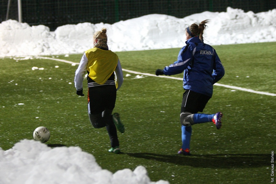 Tucholanka - Sokół