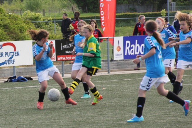 Ząbkovia w Holandii