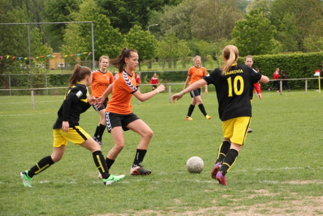 Ząbkovia w Holandii