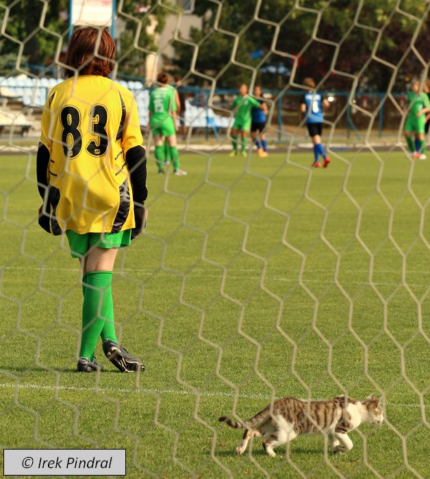 Polonia Środa - Kotwica Kołobrzeg