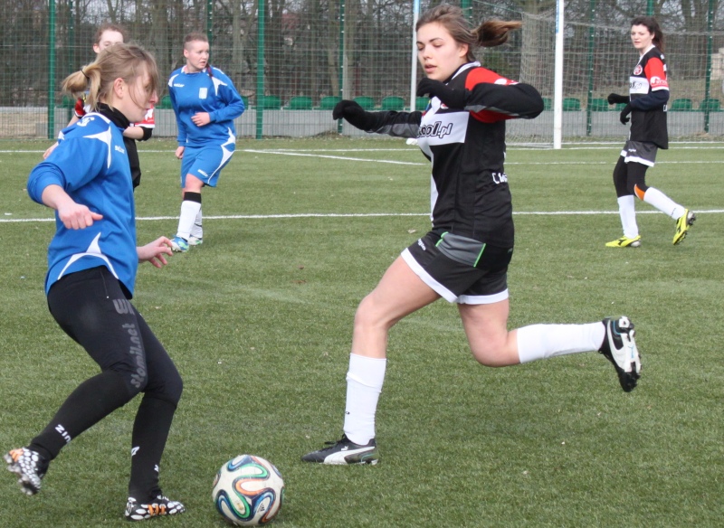 Tucholanka - Canicuła